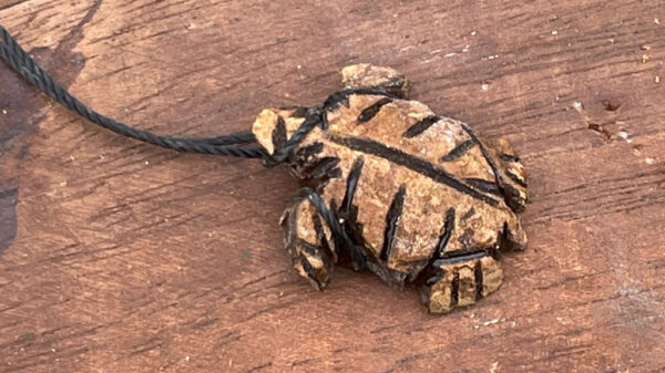 A carved turtle from a nutshell.