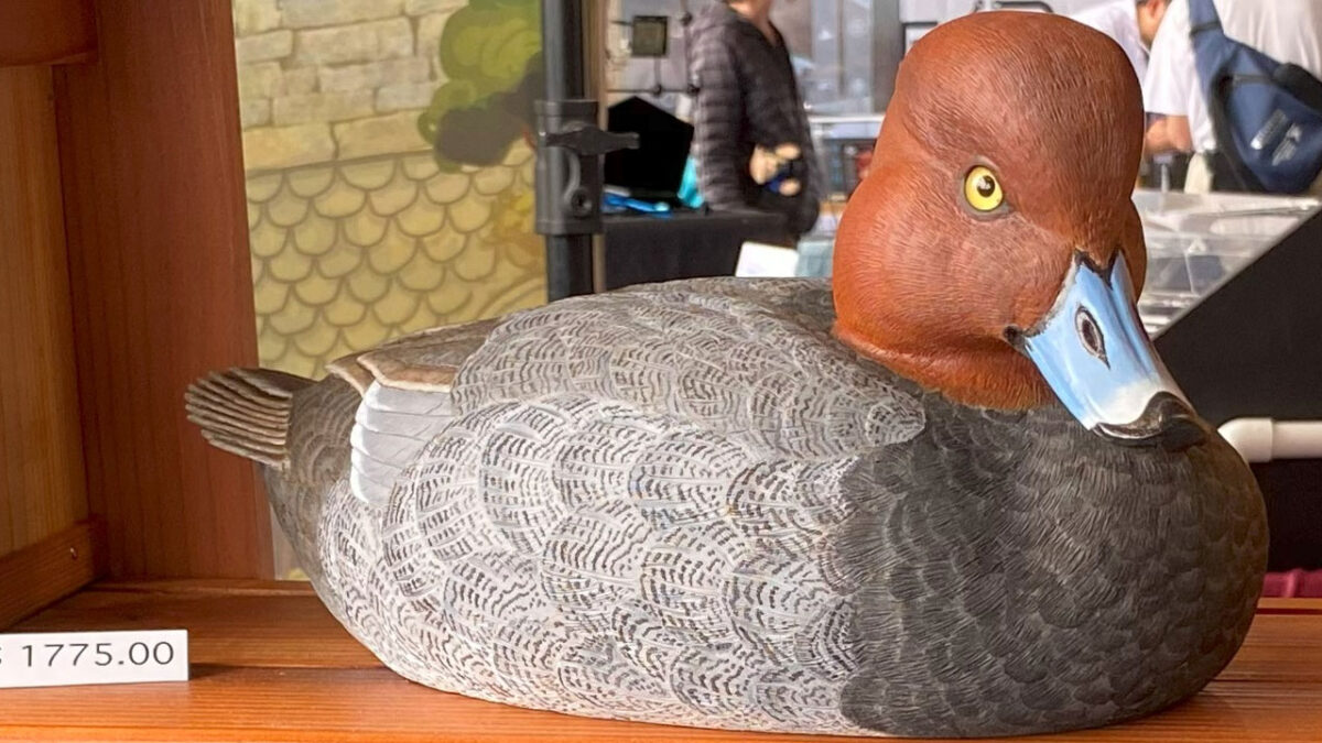 Full-size carved and painted duck.