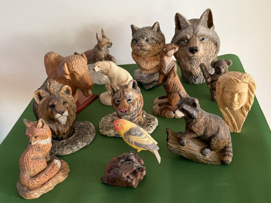 A collection of wooden wildlife carvings by Jerry Gin from the Santa Clara Valley Carvers club. The display features detailed animal busts and figures, including a wolf, lion, fox, raccoon, meerkat, koala, and a colorful bird (Western Tanager), alongside a human head sculpture.