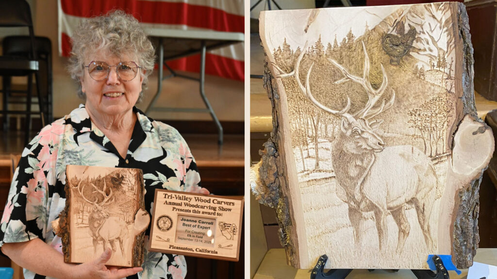 Joanne Carroll with her pyrography project, Elk in Field.