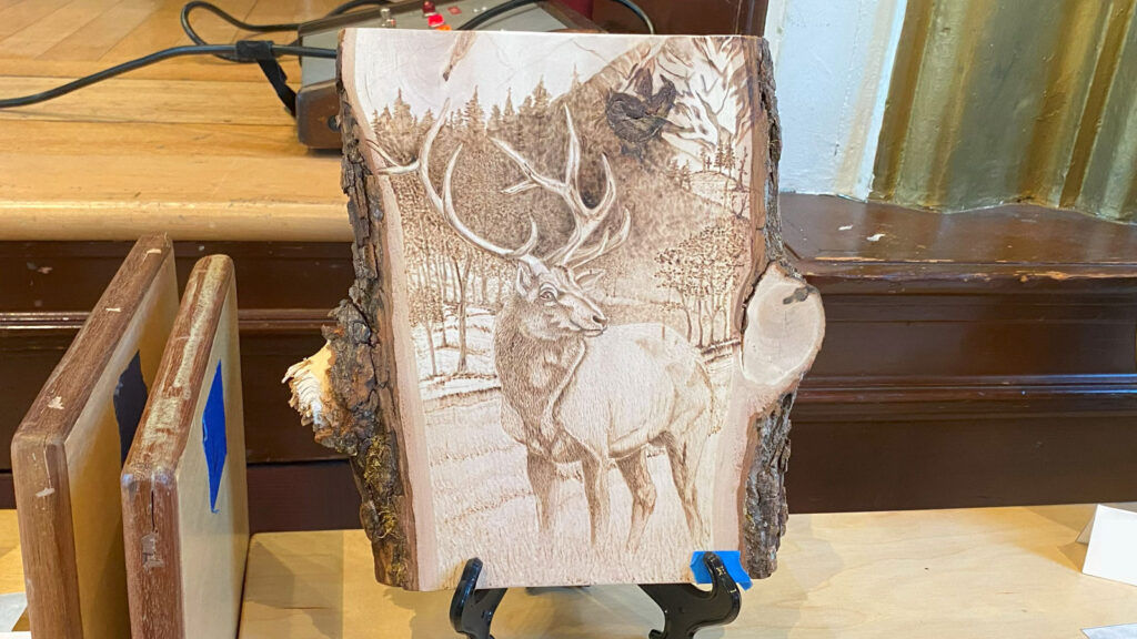 Basswood. I was fascinated by a picture of an elk in the mountains. He became the subject of this pyrography.