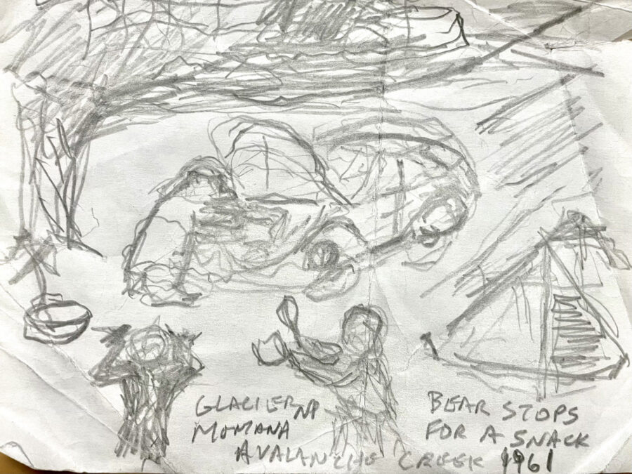 A concept sketch of a car and a bear for linoleum block printing.