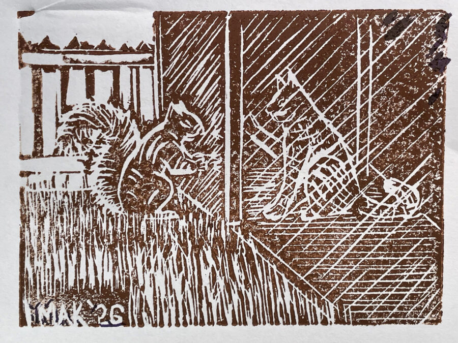 A brown linoleum block print depicting a squirrel with a bushy tail sitting beside a wooden fence on the left, facing a wire mesh cage structure on the right. The artist's signature, "MAK '26," is visible in the bottom left corner.