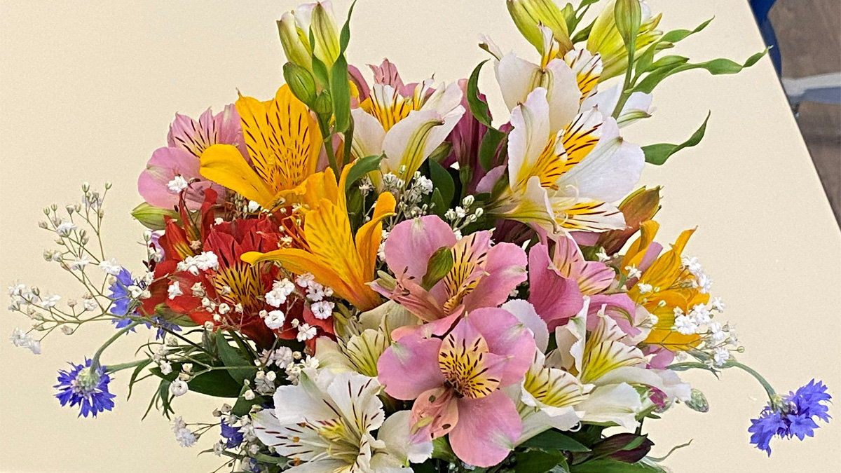 A vibrant bouquet of Peruvian lilies (Alstroemeria) featuring blooms in yellow, orange-red, pink, and white with distinctive speckled petals. The arrangement is interspersed with sprigs of tiny white baby’s breath and accented by a few blue cornflowers, resting on a light-colored surface.