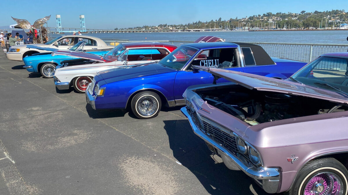 Vintage Muscle Cars