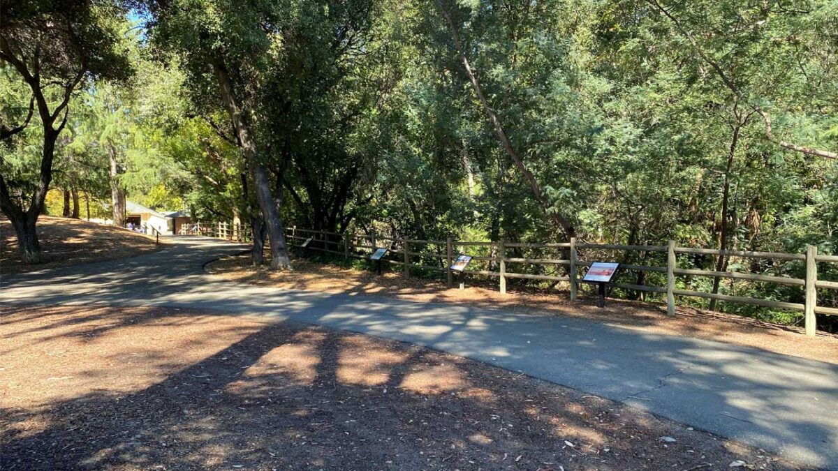 A walkway at Meadow Park, Los Gatos, CA.