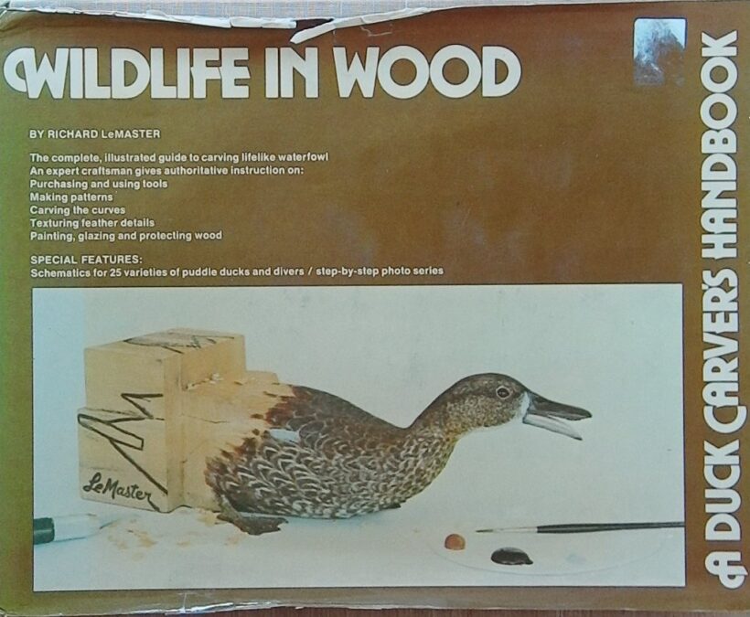 Wildlife in Wood