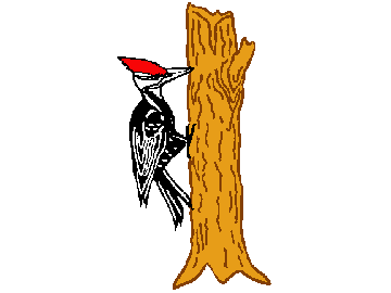 A logo of the SCVC woodcarving club, a woodpecker on the tree.