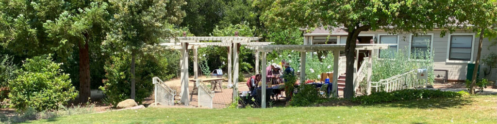 The Santa Clara Valley Carvers club set up a few tables on the patio at Saratoga Blossom Festival, 2025. The view shows the patio and the area around it.