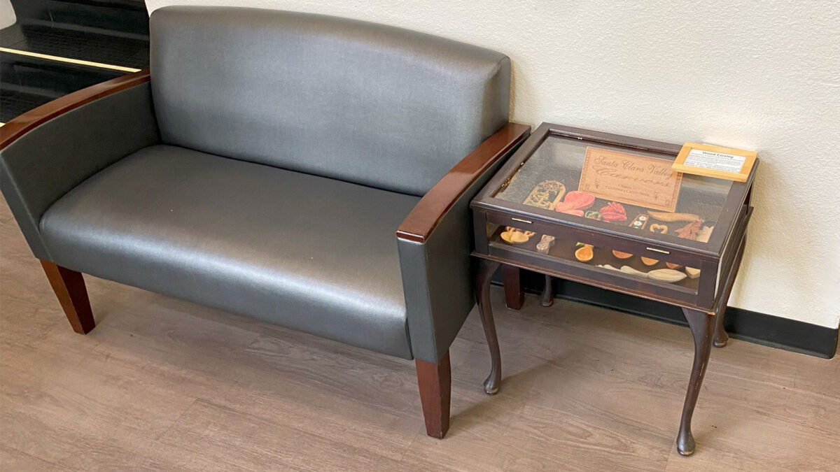 Woodcarving display case at the Adult Recreation Center in Los Gatos, CA. It has a glass top with various woodcarving projects inside.