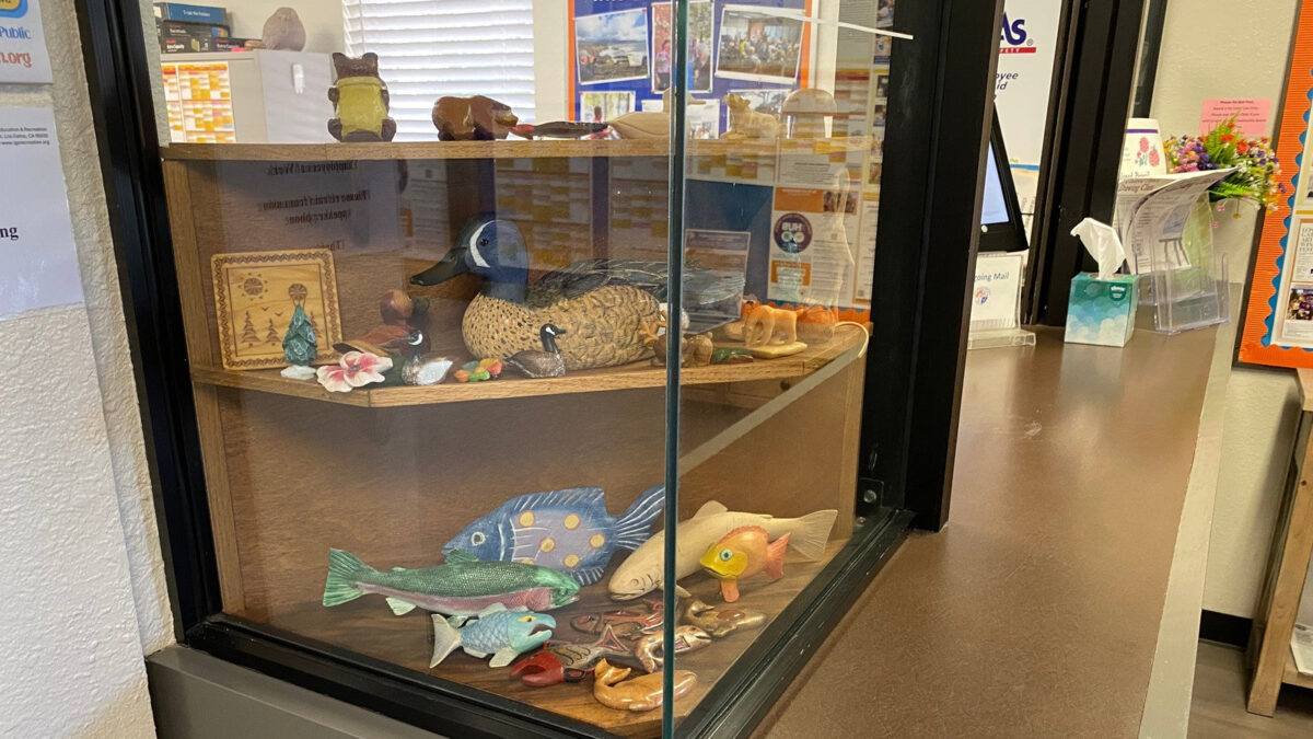 Wooden display case in the Los Gatos Adult Recreation Center lobby featuring animal carvings, including a mallard duck and fish, by members of the Santa Clara Valley Carvers.